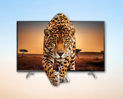 LED TVs